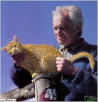 leopard- euroharmonia